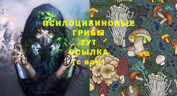 хмурый Лиски