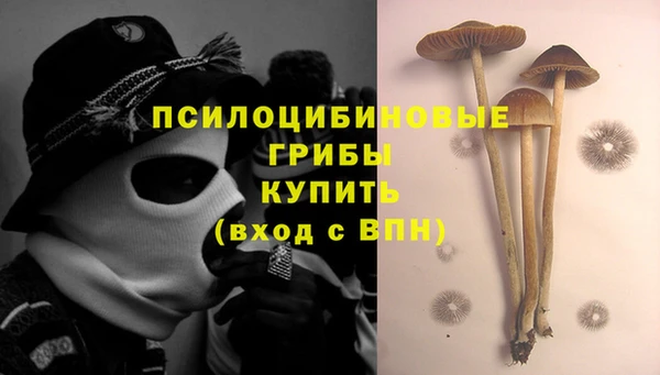 2c-b Лихославль