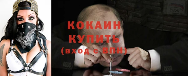 хмурый Лиски