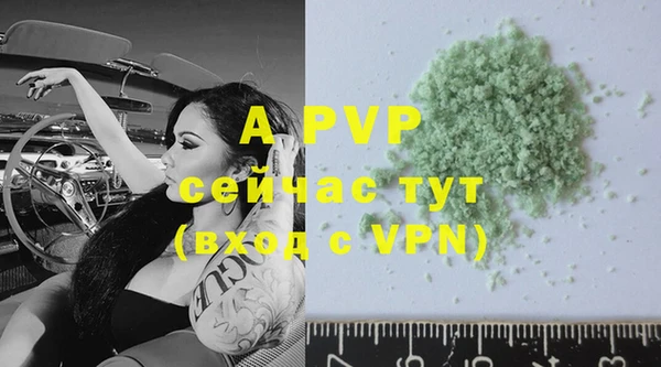 хмурый Лиски