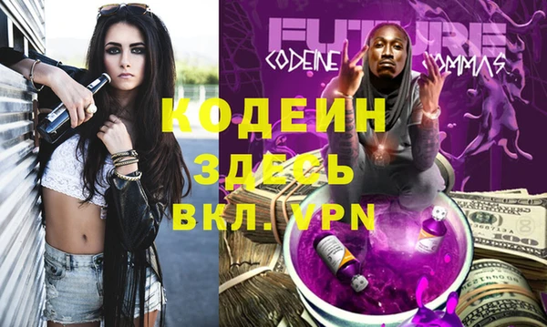 хмурый Лиски
