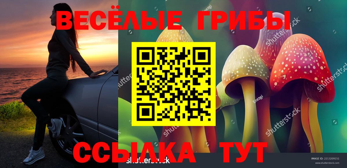Галлюциногенные грибы мицелий Сызрань