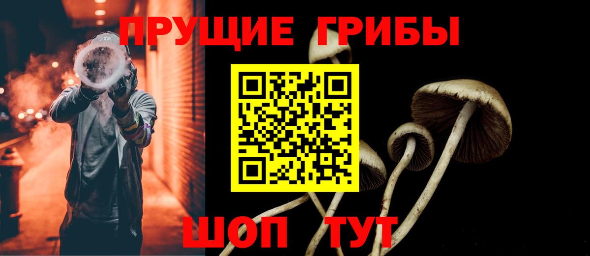 Галлюциногенные грибы Psilocybine cubensis  Вход с VPN  Сызрань  Псилоцибиновые грибы прущие грибы 